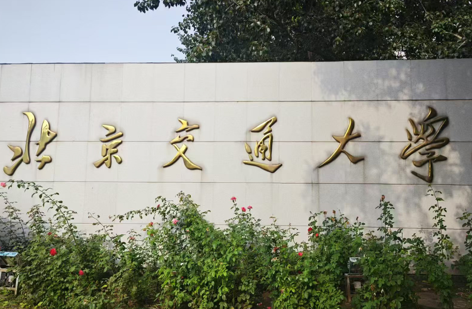 【準(zhǔn)確測(cè)量，高效研究】北京交通大學(xué)采購(gòu)南京大展的DZ-STA200同步熱分析儀
